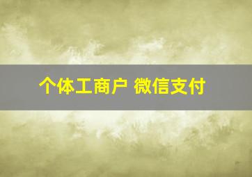 个体工商户 微信支付